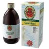 GASTRICOL 250ML